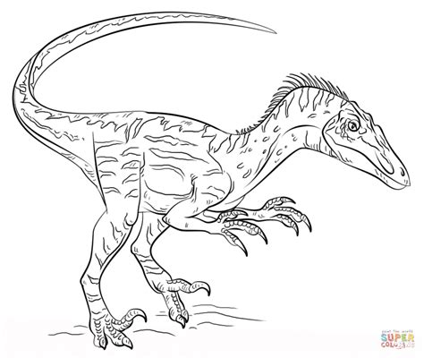 Velociraptor Printable Coloring Pages